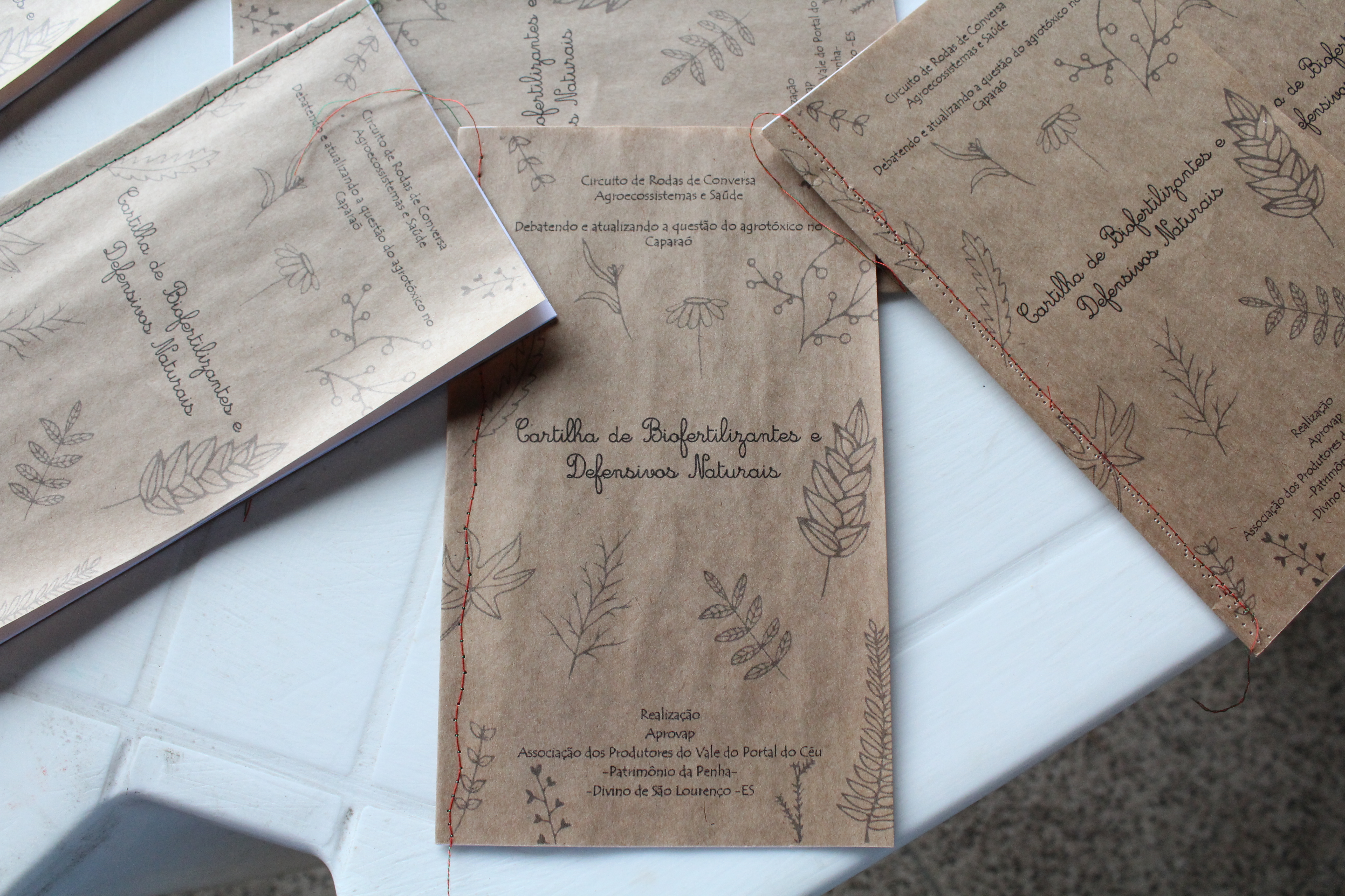 FB_Seminário Campanha nov-2017 (936)